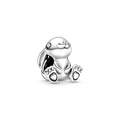 Rabbit Charm