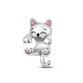 Cat Charm II
