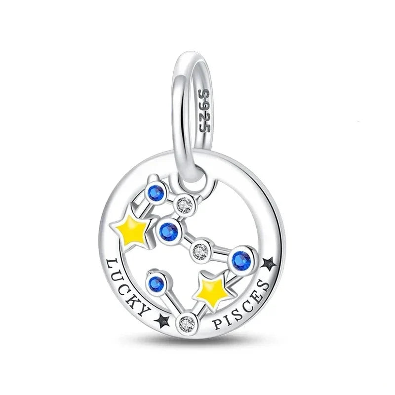 Zodiac Signs Charm