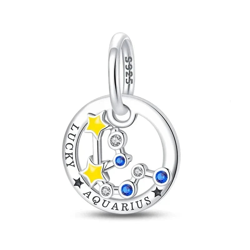 Zodiac Signs Charm