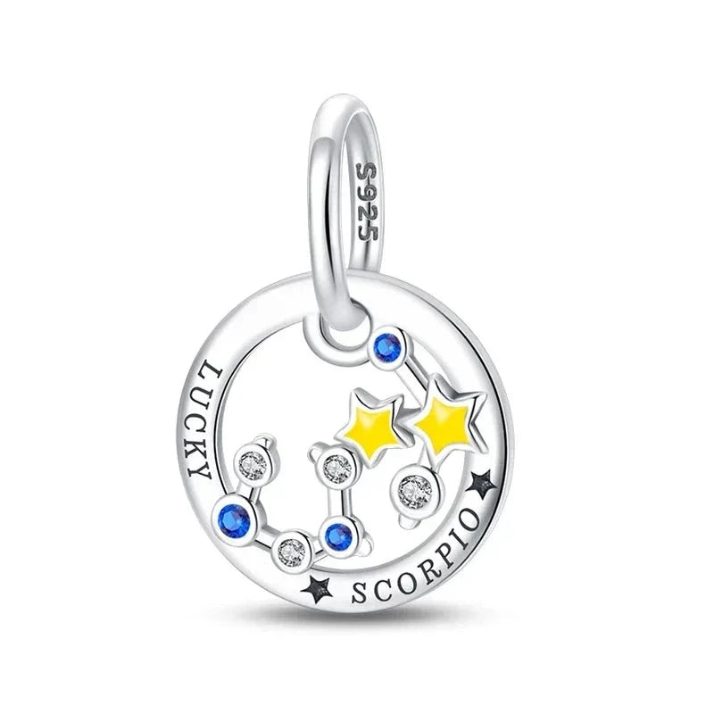 Zodiac Signs Charm