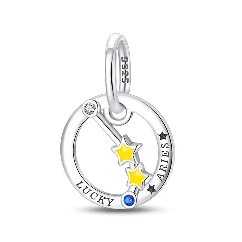 Zodiac Signs Charm