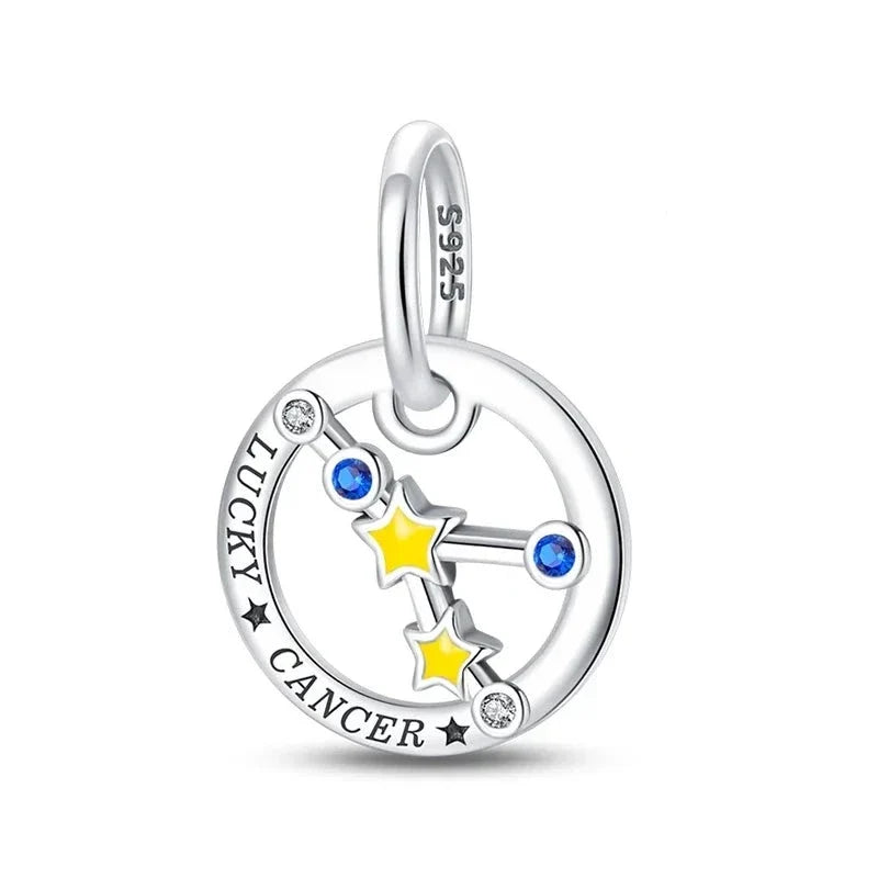 Zodiac Signs Charm