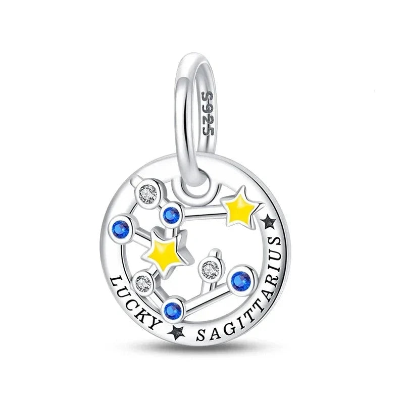 Zodiac Signs Charm