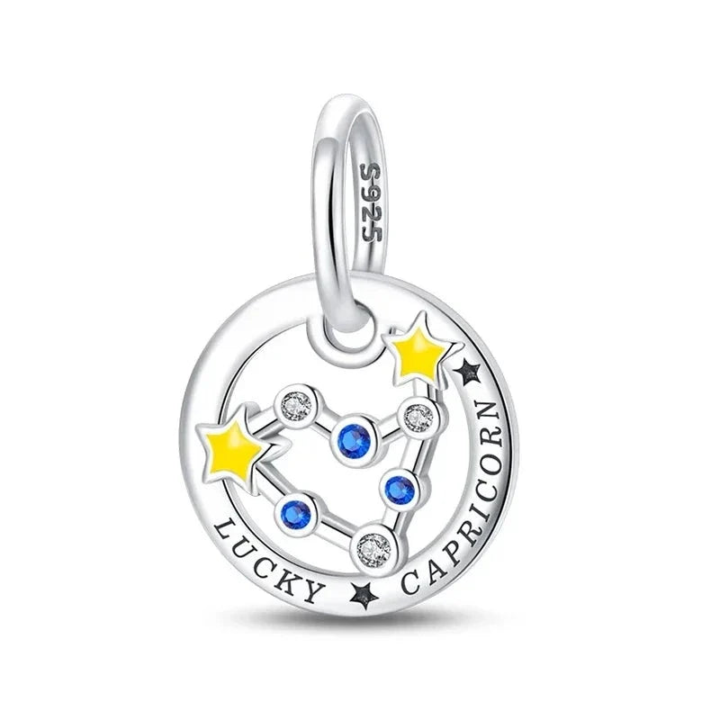 Zodiac Signs Charm