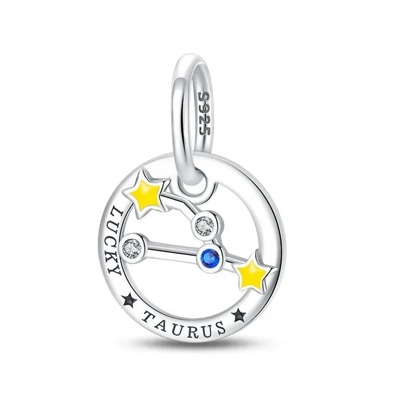 Zodiac Signs Charm